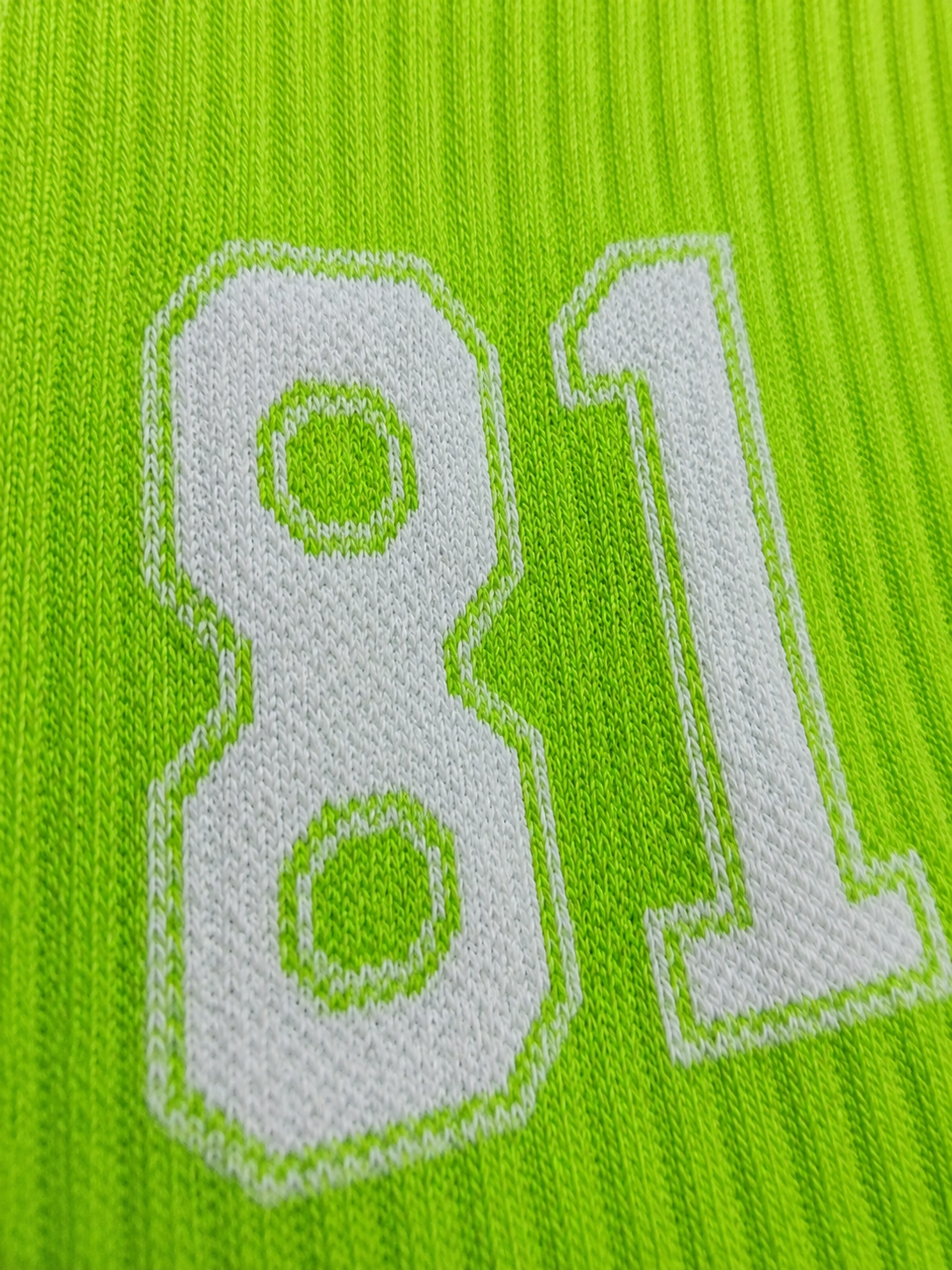S101245627309004672.png